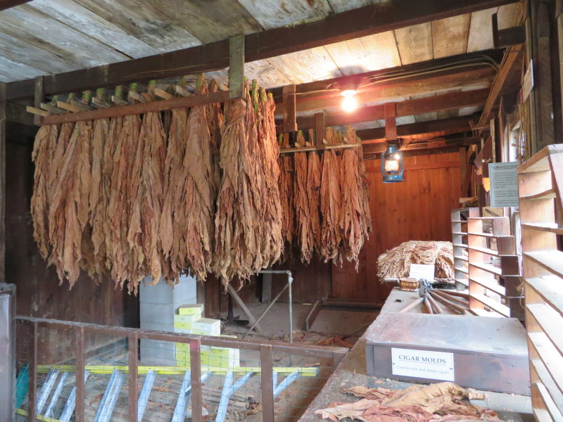 Tobacco drying at the Amish Farm